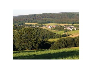 Ferienhaus Thalfang Umgebung 17