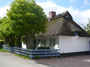 Ferienhaus SAMs-Huus - Satrup - image1