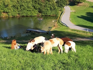 Ferienwohnung Brennberg Umgebung 11