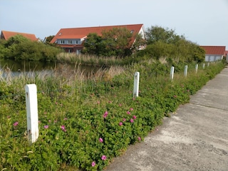 Blick vom Teich auf Haus und Zugangsweg