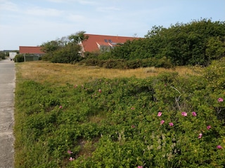 Blick vom benachbarten Dünengrundstück auf Captain´s