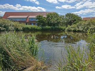 Blick vom Teich: rechts Captain's Langeoog