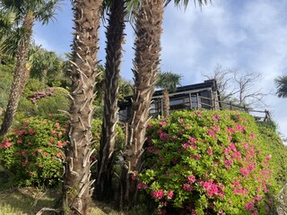 Holiday house Cannobio Outdoor Recording 22