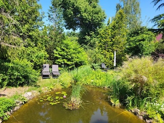 Sonnenliegen am Teich