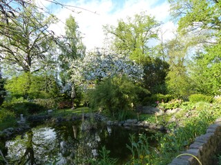 Gartenteich