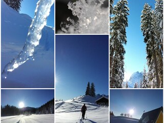 Appartamento per vacanze Reit im Winkl Ambiente 37