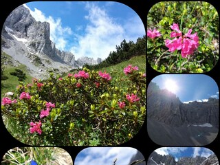 Appartamento per vacanze Reit im Winkl Ambiente 35