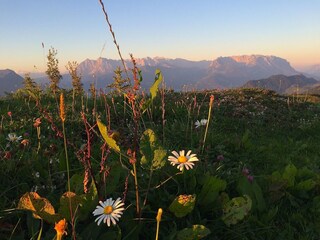 Appartamento per vacanze Reit im Winkl Ambiente 36