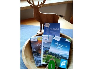 Appartamento per vacanze Reit im Winkl Registrazione all'aperto 10