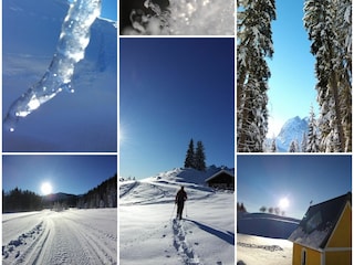 Appartamento per vacanze Reit im Winkl Ambiente 39