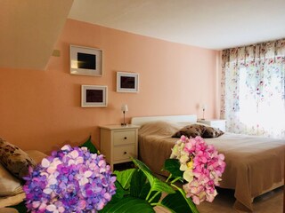 Apartamento de vacaciones Trarego Viggiona Características 15