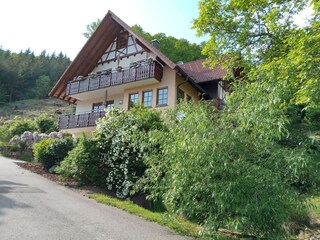 Appartamento per vacanze Lautenbach Registrazione all'aperto 12