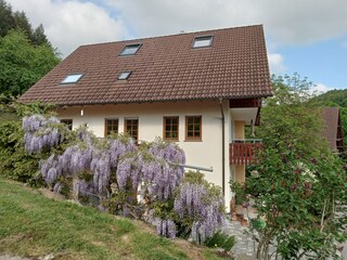 Apartamento de vacaciones Lautenbach Grabación al aire libre 13