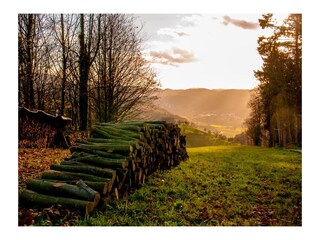 Appartamento per vacanze Lautenbach Ambiente 23