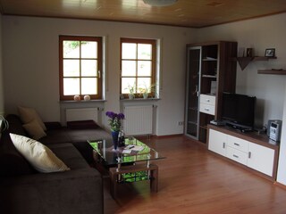 Appartamento per vacanze Lautenbach Caratteristiche 17