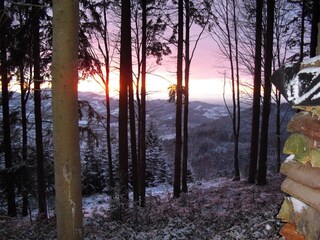 Appartamento per vacanze Lautenbach Ambiente 25