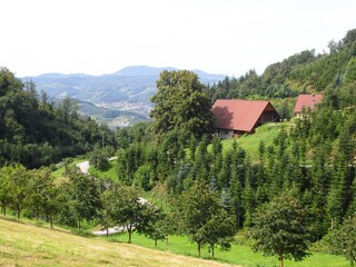 Apartamento de vacaciones Lautenbach Grabación al aire libre 4