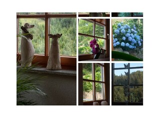 Appartamento per vacanze Lautenbach Registrazione all'aperto 6