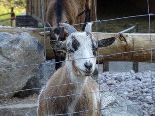 Appartamento per vacanze Lautenbach Registrazione all'aperto 7