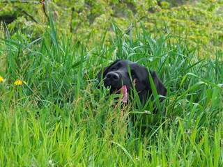 Appartamento per vacanze Lautenbach Registrazione all'aperto 8