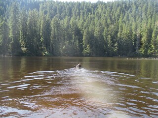 Appartamento per vacanze Lautenbach Ambiente 30