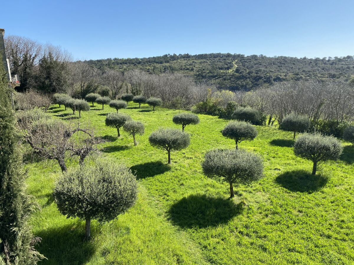 Landschaft rund um Uzes