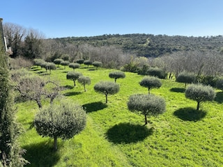Landschaft rund um Uzes