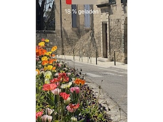 Frühling in der Provence