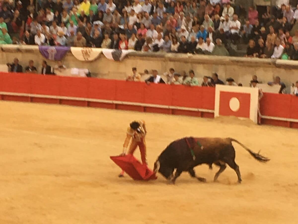 Stierkamp Arena in Nimes