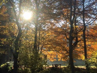 Casa per le vacanze Großalmerode Ambiente 24