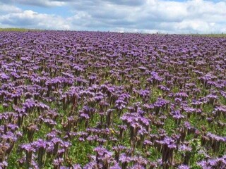 Casa de vacaciones Großalmerode Entorno 24