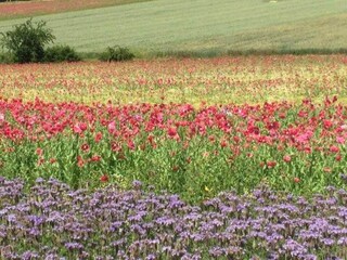 Ferienhaus Großalmerode Umgebung 31