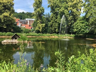 Holiday house Großalmerode Environment 31