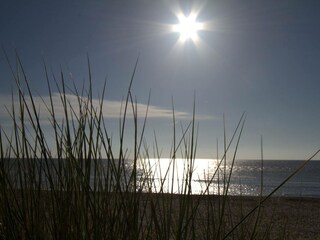 Vakantieappartement Callantsoog Omgeving 17