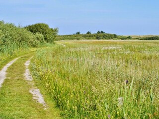 Vakantieappartement Callantsoog Omgeving 20
