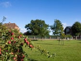 External view from our lovely fruit garden