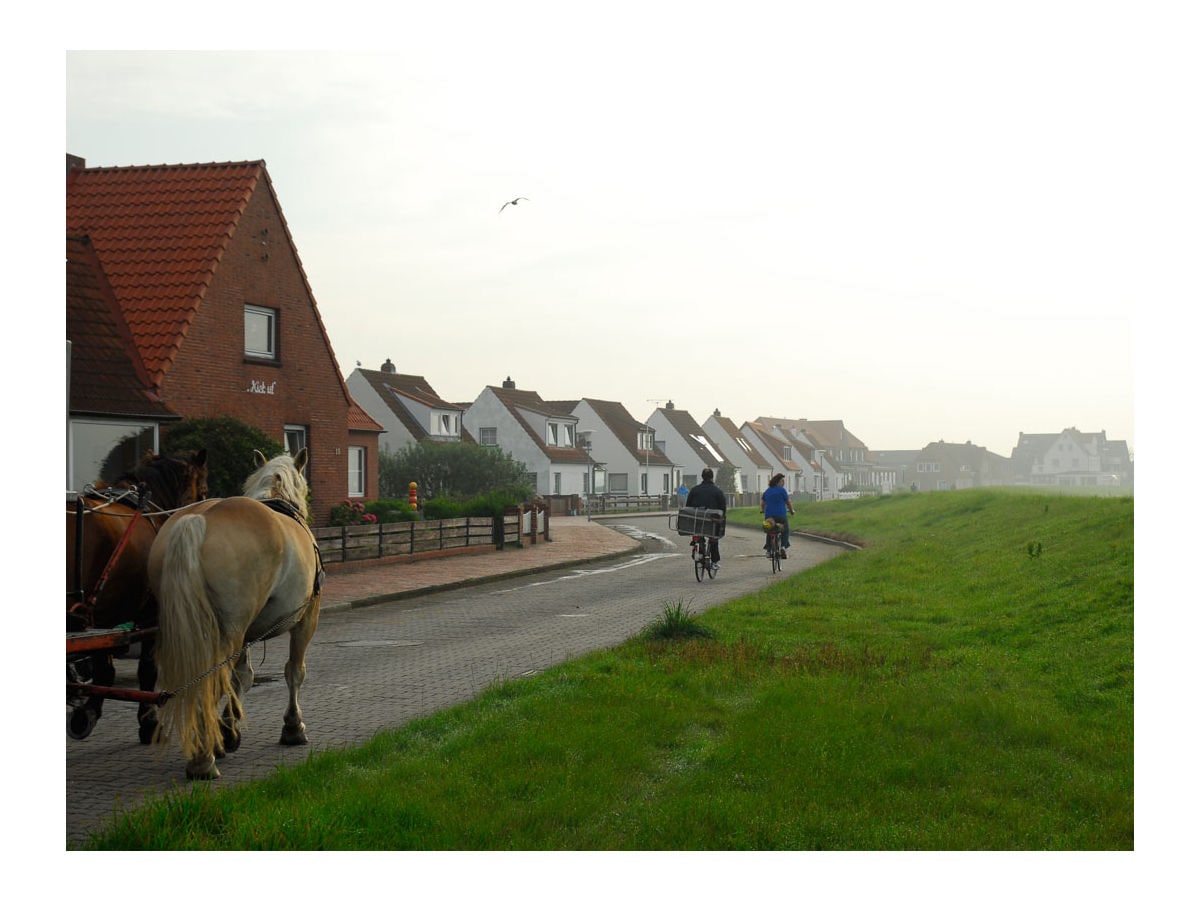 Ferienwohnung &quot;Seestern&quot;,, Juist, Herr Michael Bockelmann