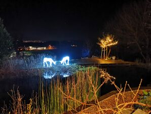 Apartment Green Elephant - Tettnang - image1