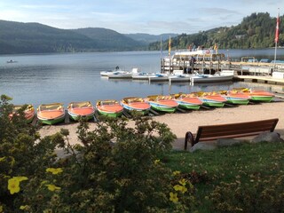 Der Titisee mit seinen Booten