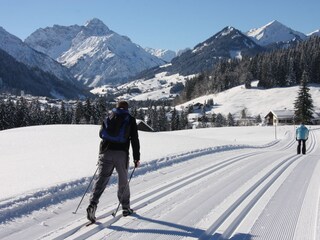 Holiday apartment Riezlern Environment 26