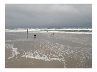 Ferien an der Ostsee