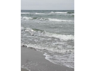 Ostsee
