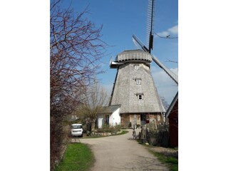 Cafe Ahrenshoop