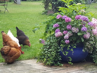 Berta mit Freundinnen