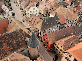 Vakantieappartement Kaysersberg Omgeving 11