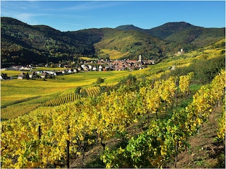 Appartamento per vacanze Kaysersberg  14