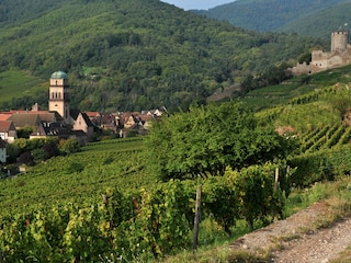 Appartamento per vacanze Kaysersberg  15