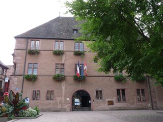Vakantieappartement Kaysersberg Omgeving 16