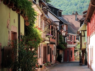 Vakantieappartement Kaysersberg Omgeving 21