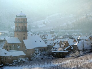 Vakantieappartement Kaysersberg Omgeving 20